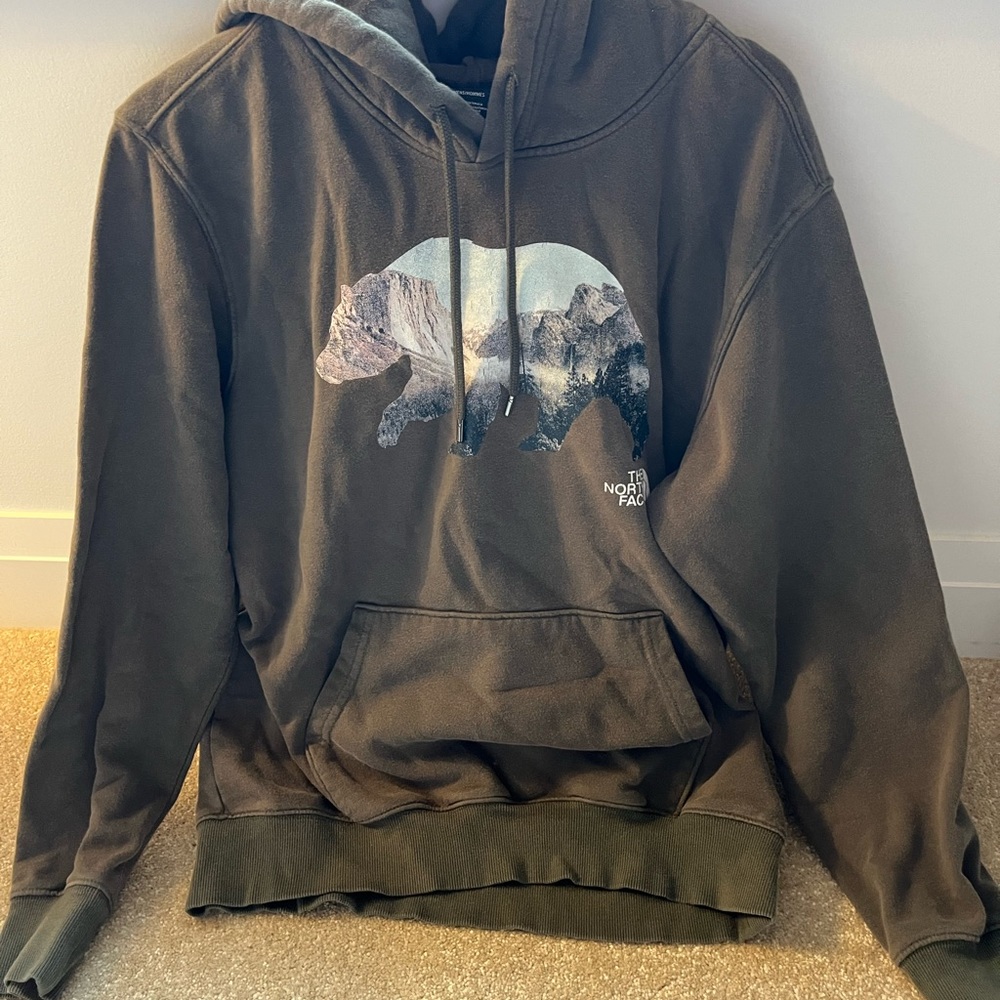 Mens The North Face Hoodie